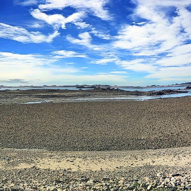 Marée Basse