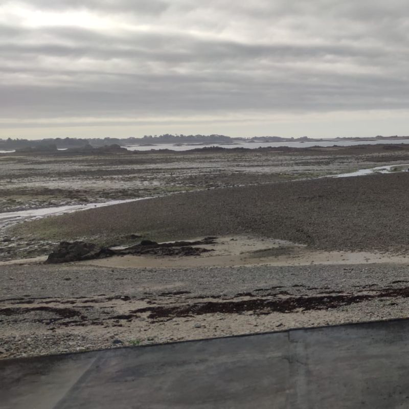 Marée très basse
