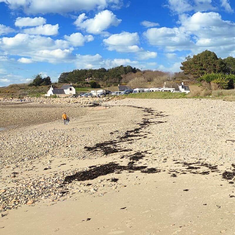 Plage à marée basse