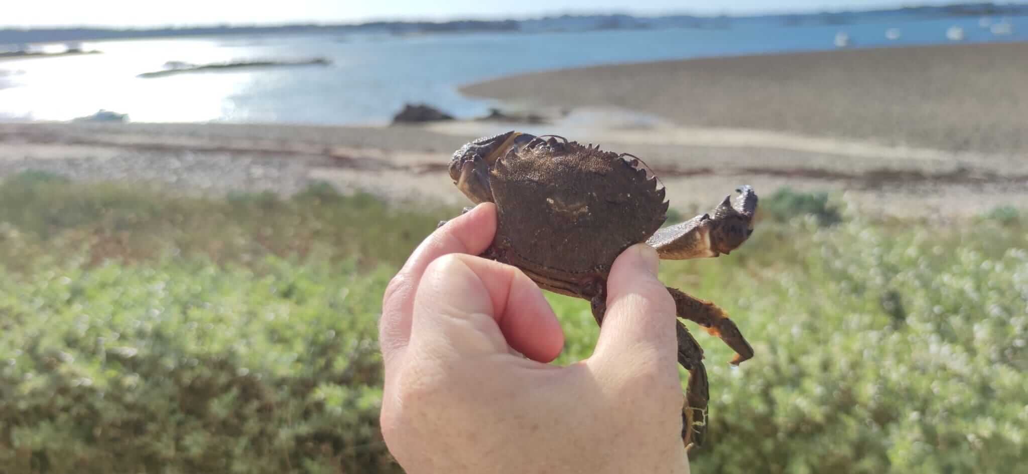 peche-de-crabes-port-beni