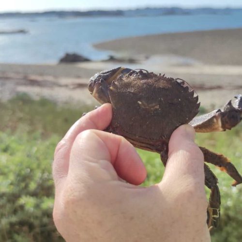 peche-de-crabes-port-beni