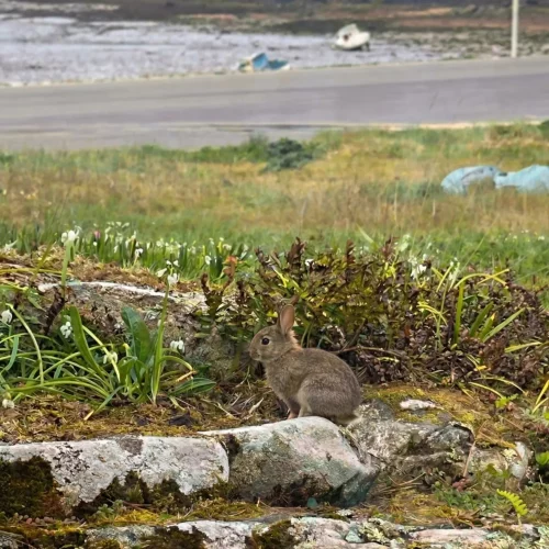 vue-exterieure-port-beni-paysage_11zon-2